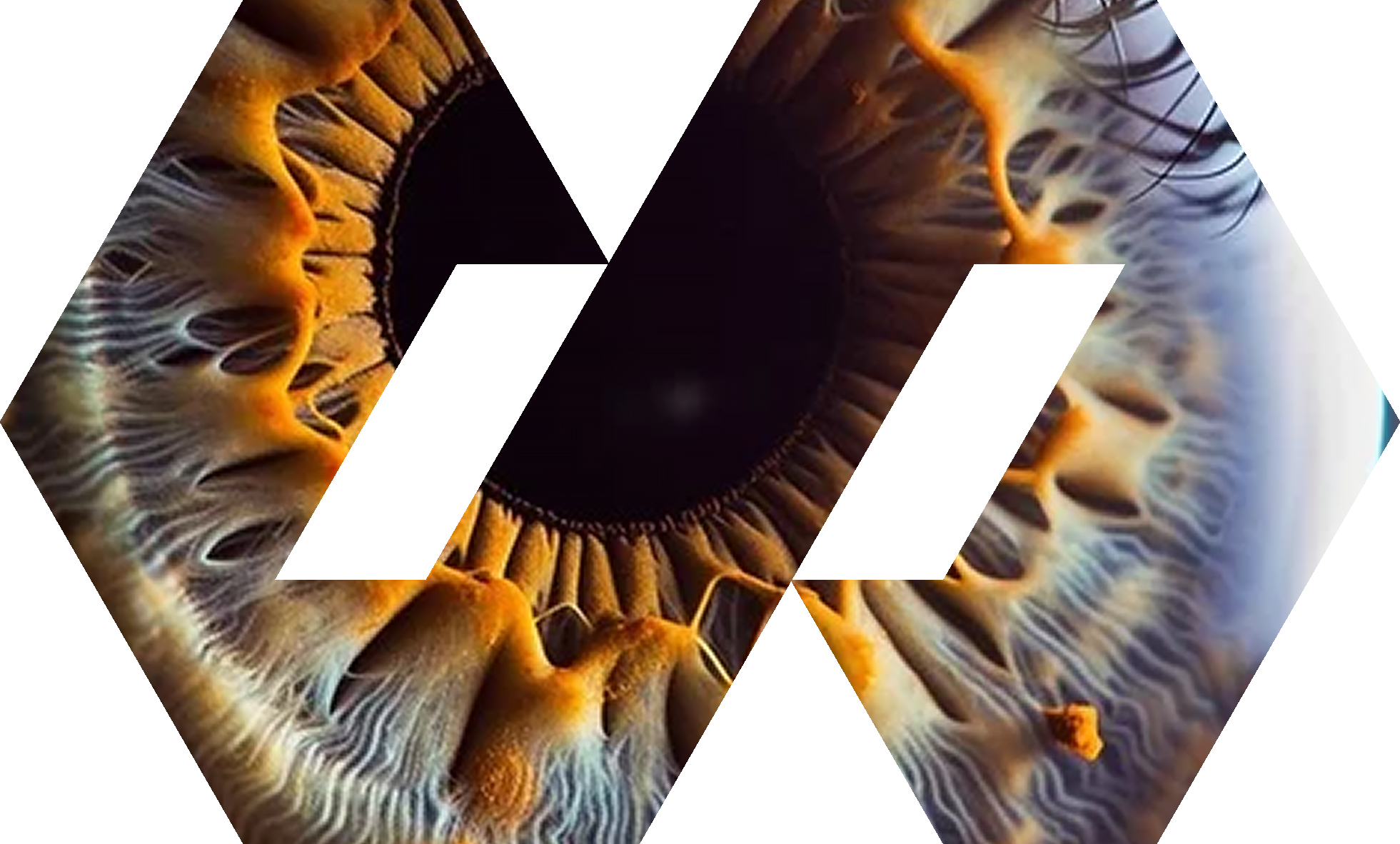 Surprise Systems Logo